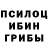 Псилоцибиновые грибы прущие грибы SVD BOY's