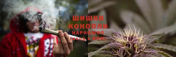 стаф Баксан