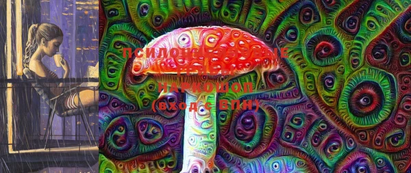 хмурый Семилуки