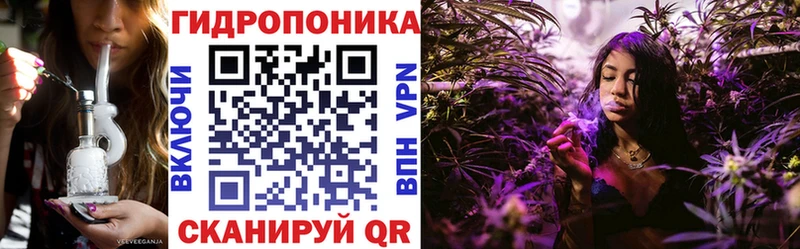 Бошки марихуана планчик Буинск
